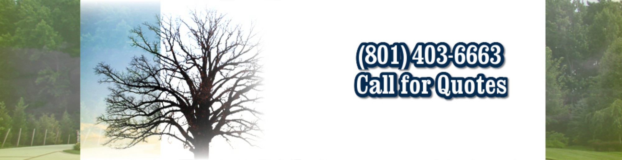 (801) 403-6663 Call for Quotes